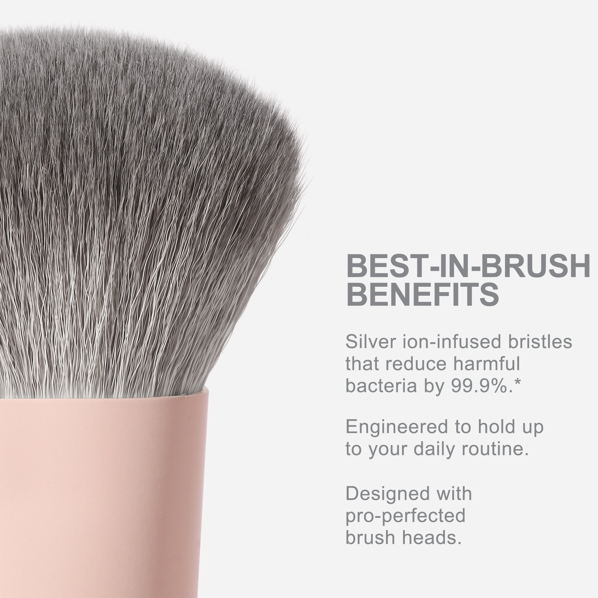 Flat CircularFoundation Brush