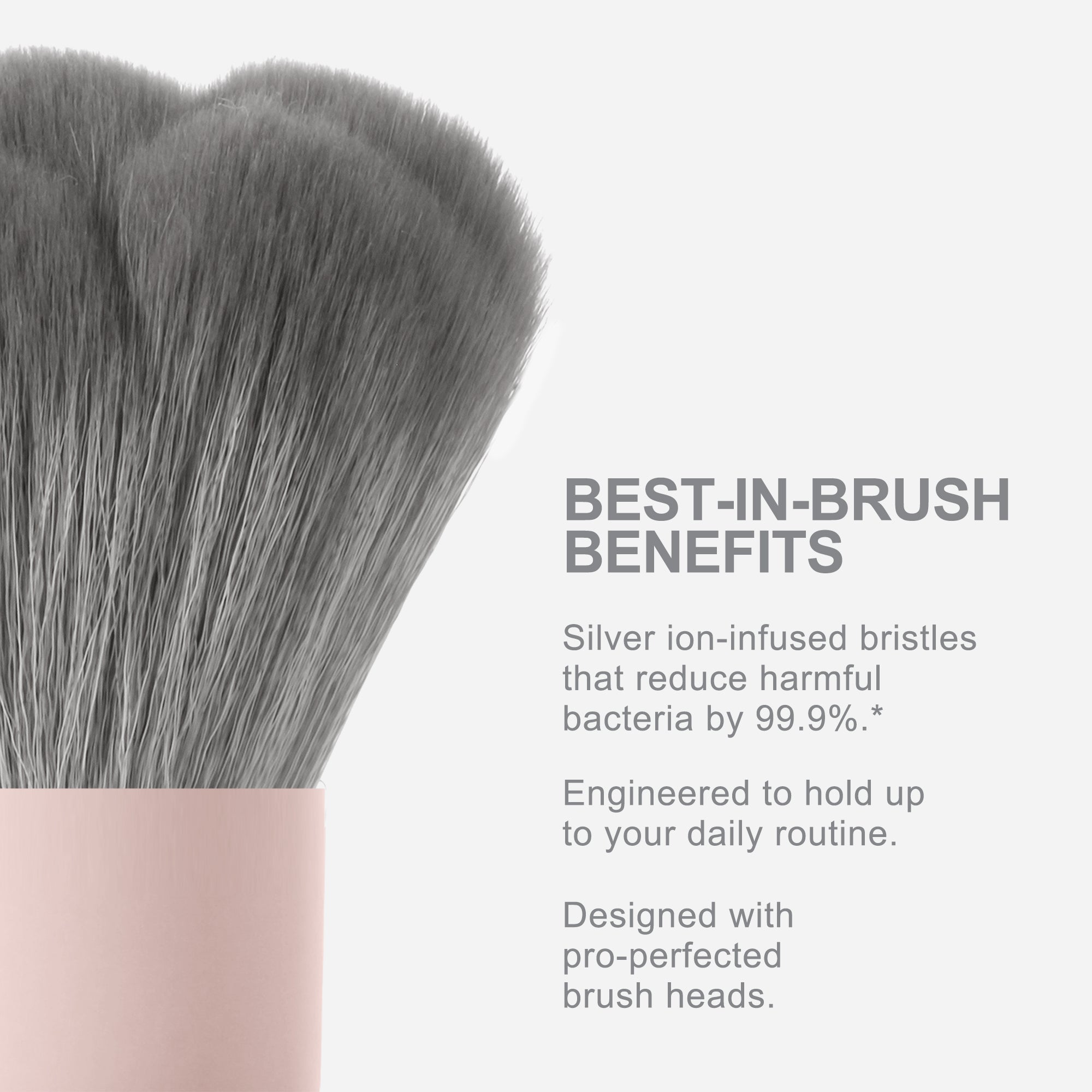 P138 Loose Powder Brush